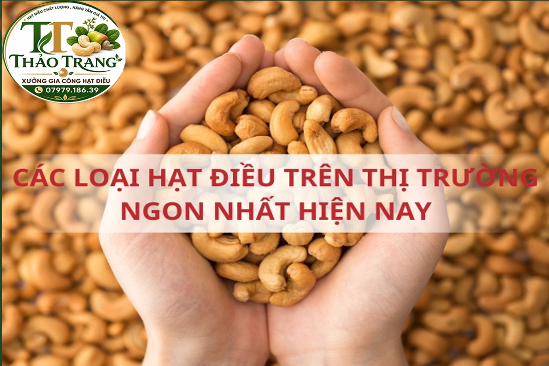 Top thương hiệu hạt điều uy tín, chất lượng tại Việt Nam