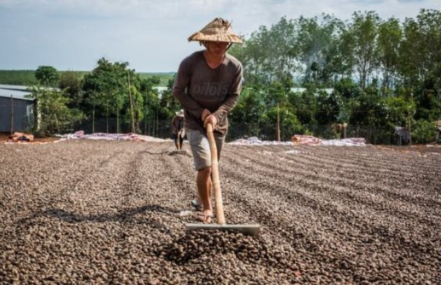 'Vàng treo trên cây' giúp Việt Nam xuất khẩu bỏ xa thế giới: Trung Quốc thừa nhận 'ăn đứt' hàng nội, thu về gần 3 tỷ USD từ đầu năm