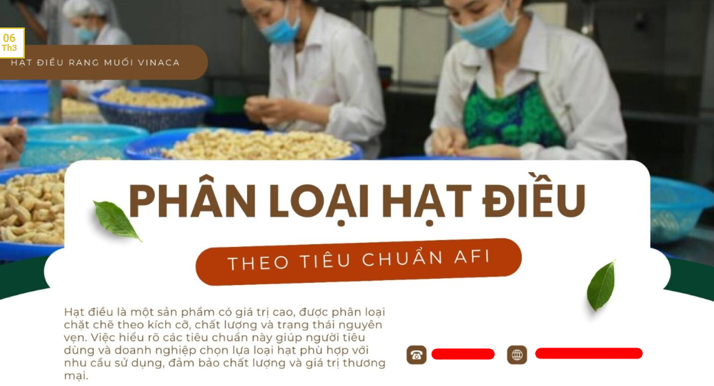 Cách phân loại hạt điều theo tiêu chuẩn xuất khẩu