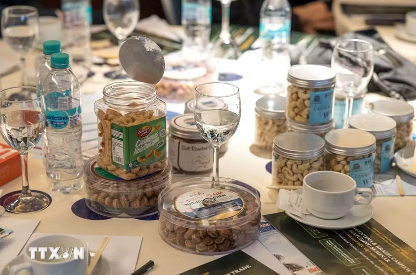 Việt Nam thúc đẩy mở rộng thị trường hạt điều tại Argentina