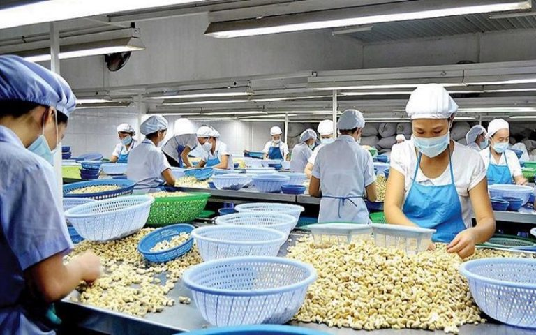 Hạt điều loại 1 là gì? Giá hạt điều loại 1 bao nhiêu?