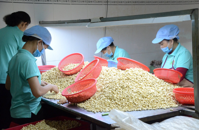 Chỉ 10 tháng, Trung Quốc chi hơn 800 triệu USD nhập loại hạt có thể giúp phòng chừa ung thư từ Việt Nam