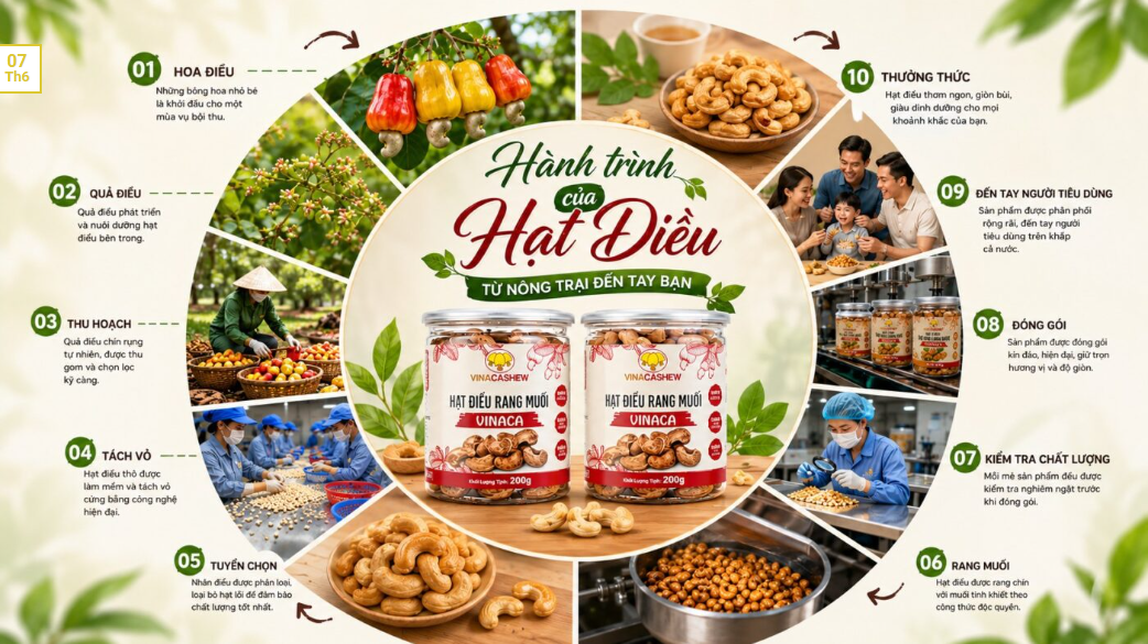 Sự Thật Ít Người Biết Về Hành Trình Của Hạt Điều