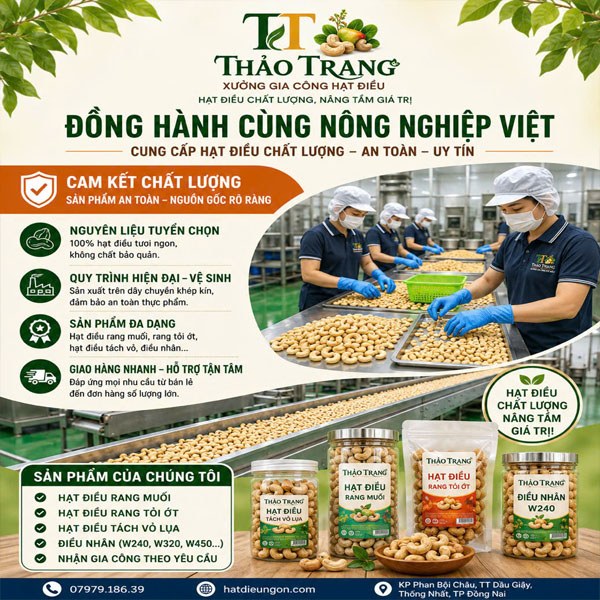 Hạt điều xuất khẩu đạt chuẩn quốc tế